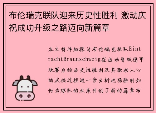 布伦瑞克联队迎来历史性胜利 激动庆祝成功升级之路迈向新篇章