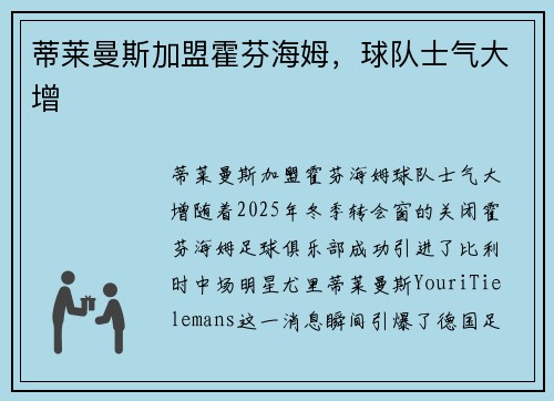 蒂莱曼斯加盟霍芬海姆，球队士气大增