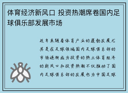 体育经济新风口 投资热潮席卷国内足球俱乐部发展市场